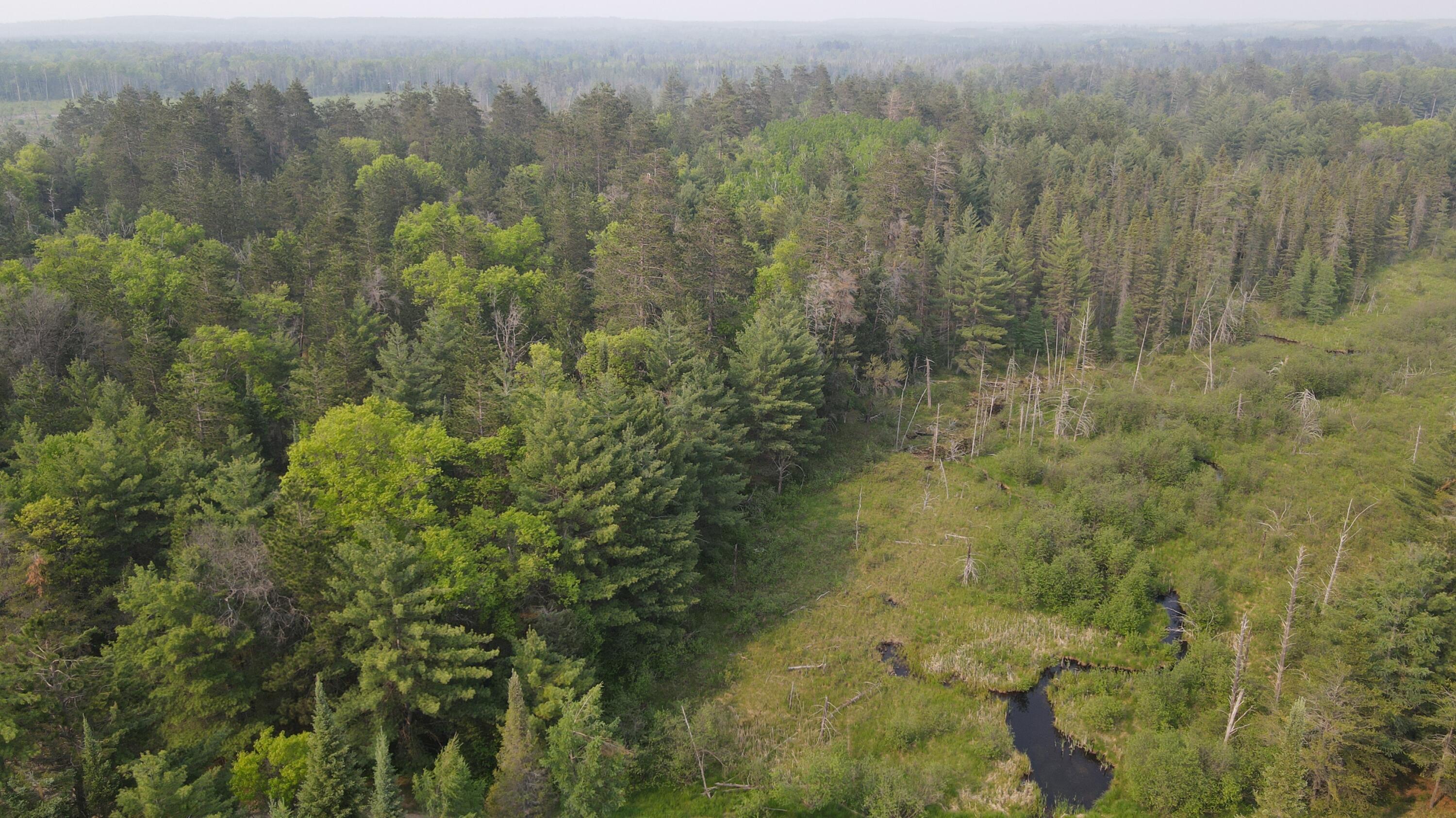Parcel B Cherry Creek Road Grayling, MI 49738 - Photo 3 of 25 DJI_0929