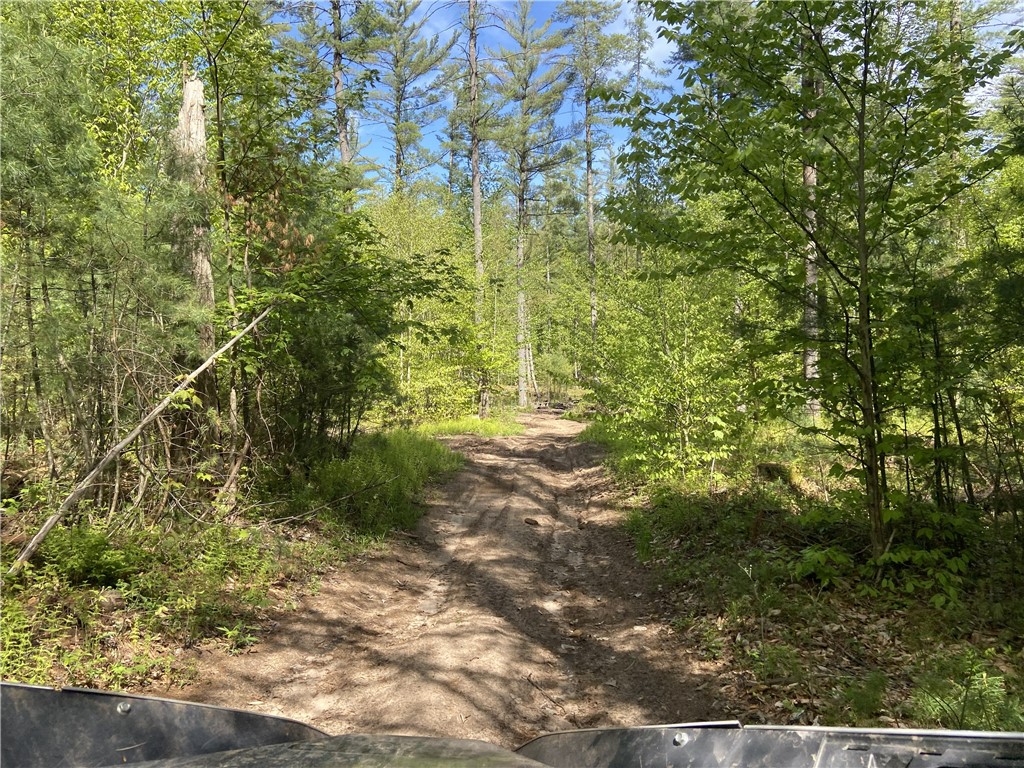 0 Adams Hill Road Croghan, NY 13327 - Photo 8 of 16