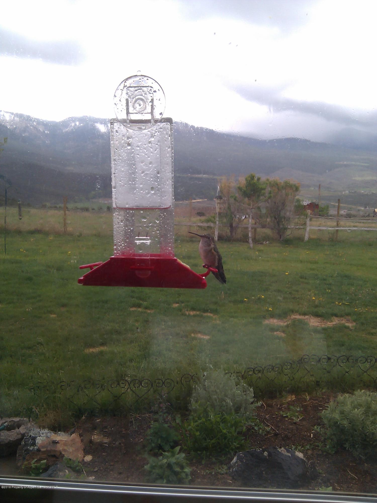 6196 County Road 320 Rifle, CO 81650 - Photo 40 of 42 Hummingbird