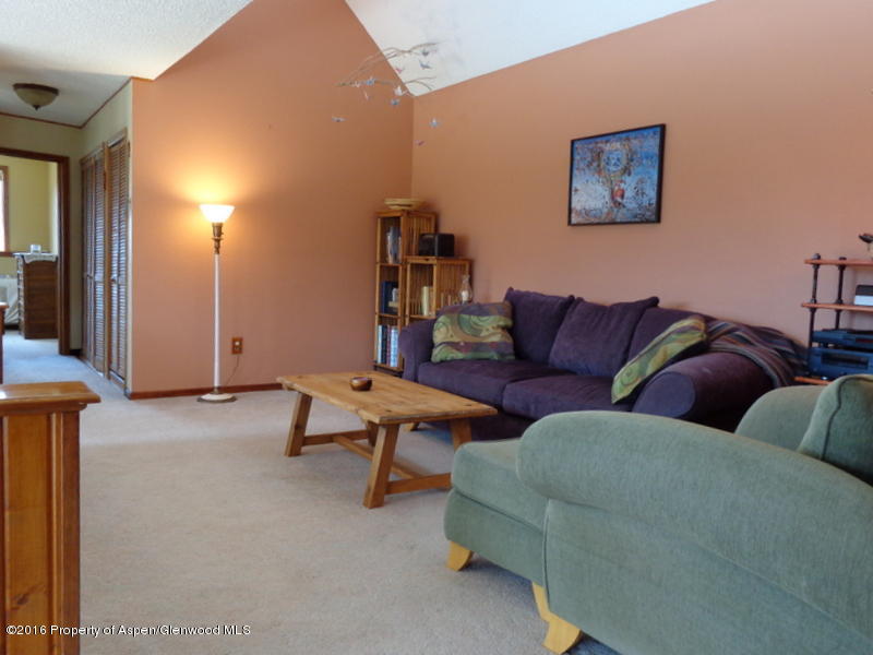 6196 County Road 320 Rifle, CO 81650 - Photo 5 of 42 Living Room
