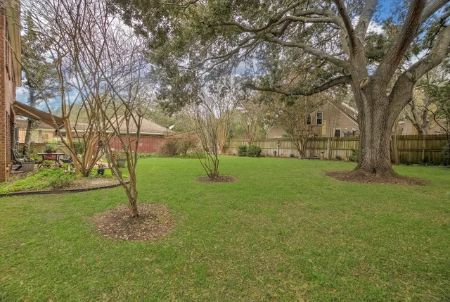 a view of a tree in a park
