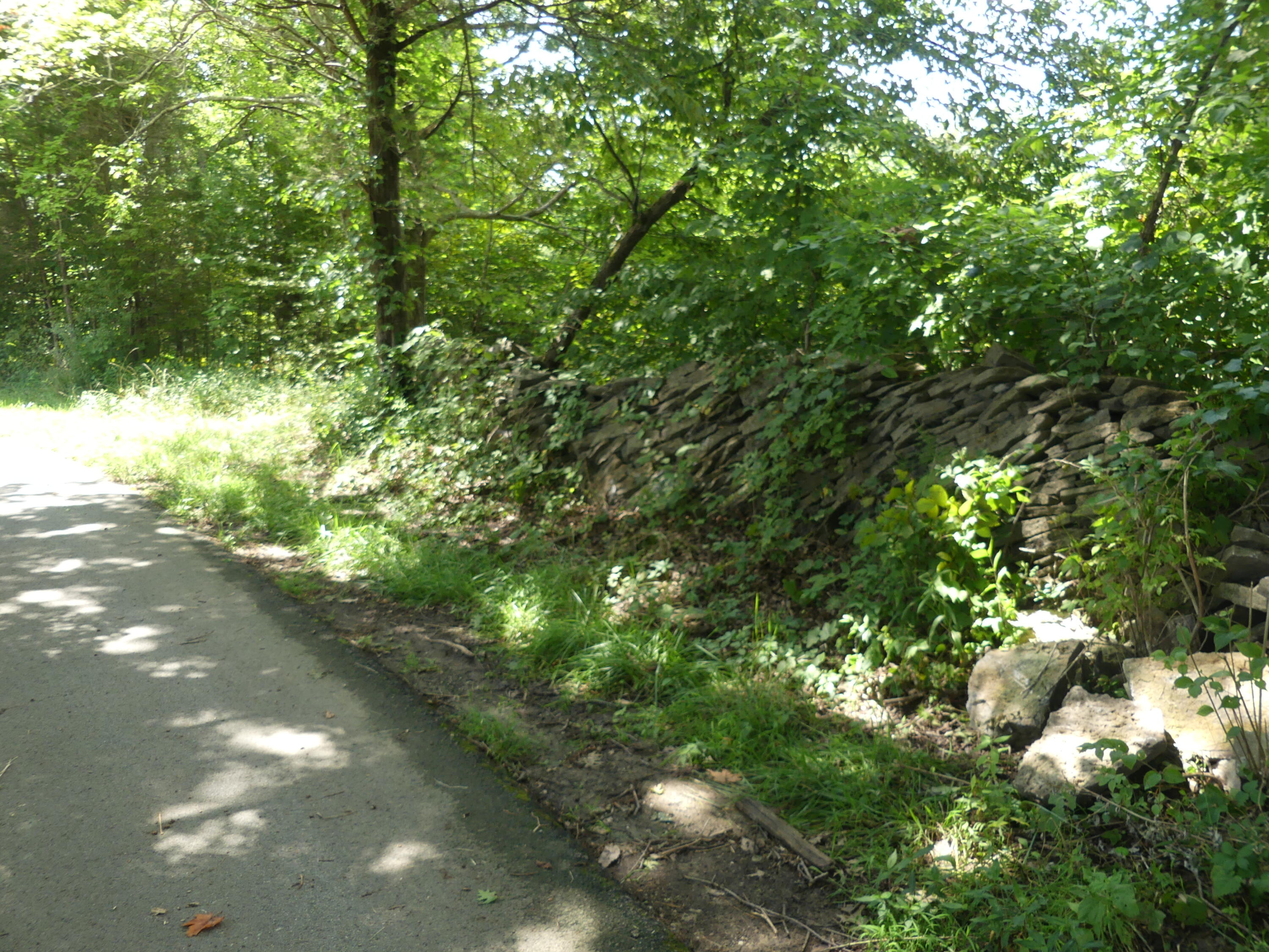 1040 Delaney Road Lawrenceburg, KY 40342 - Photo 11 of 55 P1020008