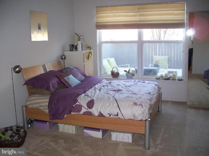 8045 Newell Street, Unit 111 Silver Spring, MD 20910 - Photo 12 of 16 Master Bedroom