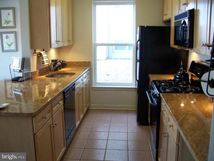 8045 Newell Street, Unit 111 Silver Spring, MD 20910 - Photo 7 of 16 Kitchen #3