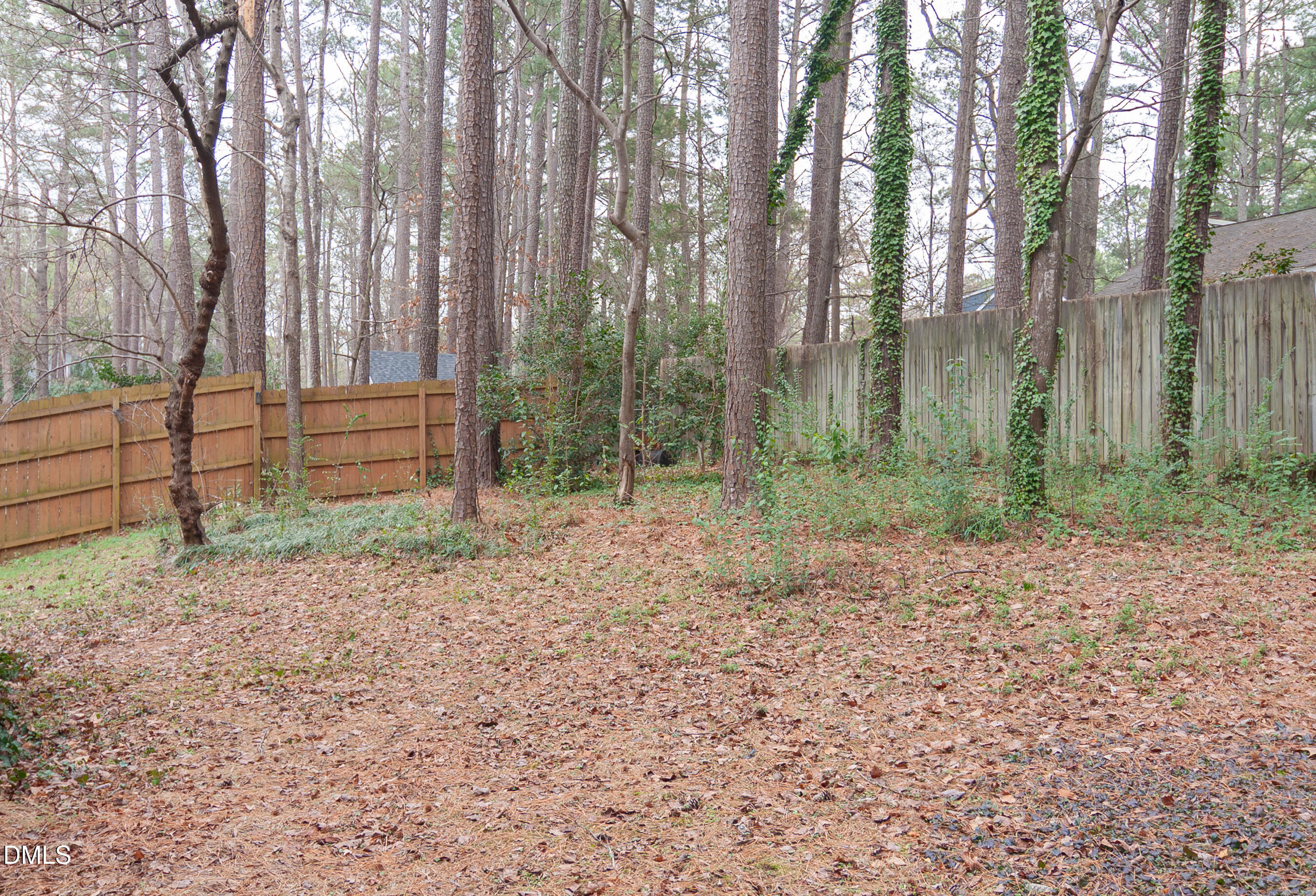 5510 Loyal Avenue Durham, NC 27713 - Photo 23 of 24 Backyard