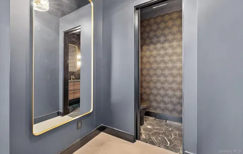 a living room with furniture flowerpot and a chandelier