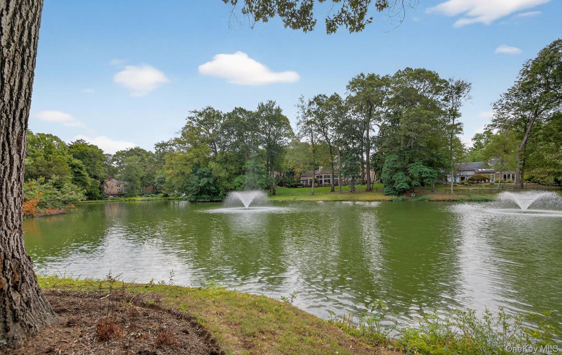 26 Windemere Way Woodbury, NY 11797 - Photo 33 of 40 a view of a lake with a yard
