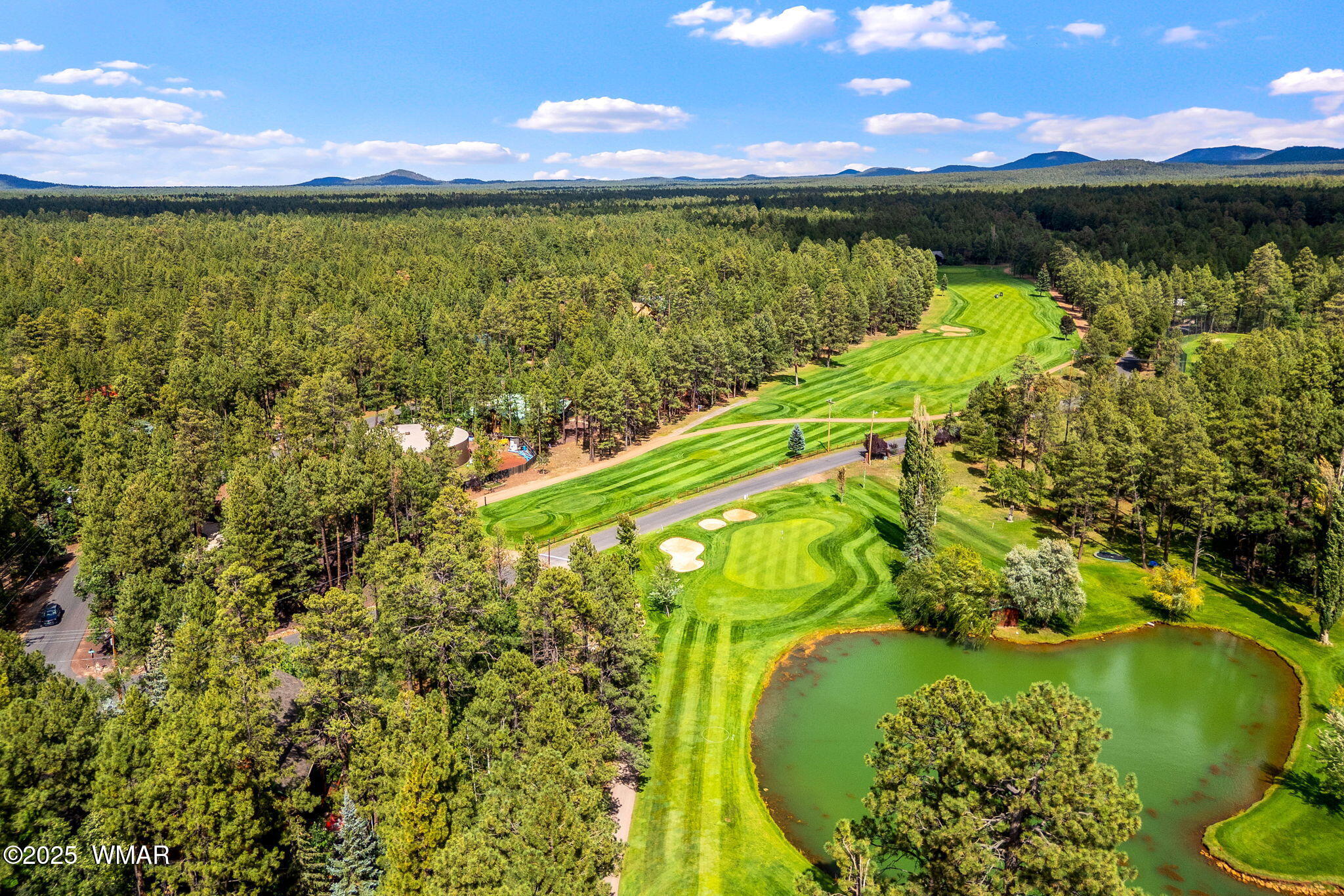 6597 Buck Springs Road Pinetop, AZ 85935 - Photo 4 of 37 fairway 3
