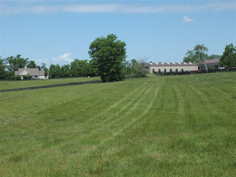 3920 Delaney Ferry Road Versailles, KY 40383 - Photo 2 of 48 Photo 2