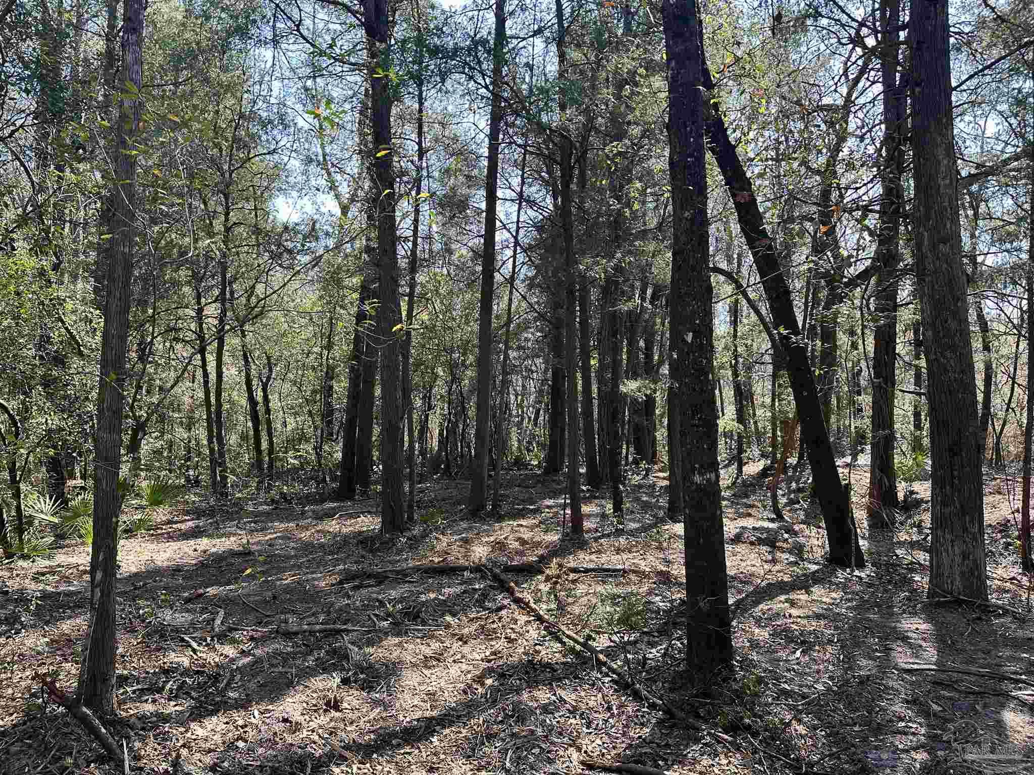 3700 Vantage Road Cantonment, FL 32533 - Photo 4 of 22
