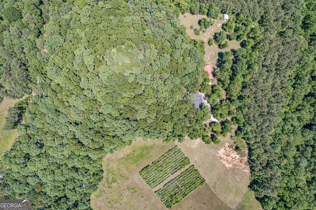 230 Haynes Road Moreland, GA 30259 - Photo 36 of 38 a view of a yard with plants
