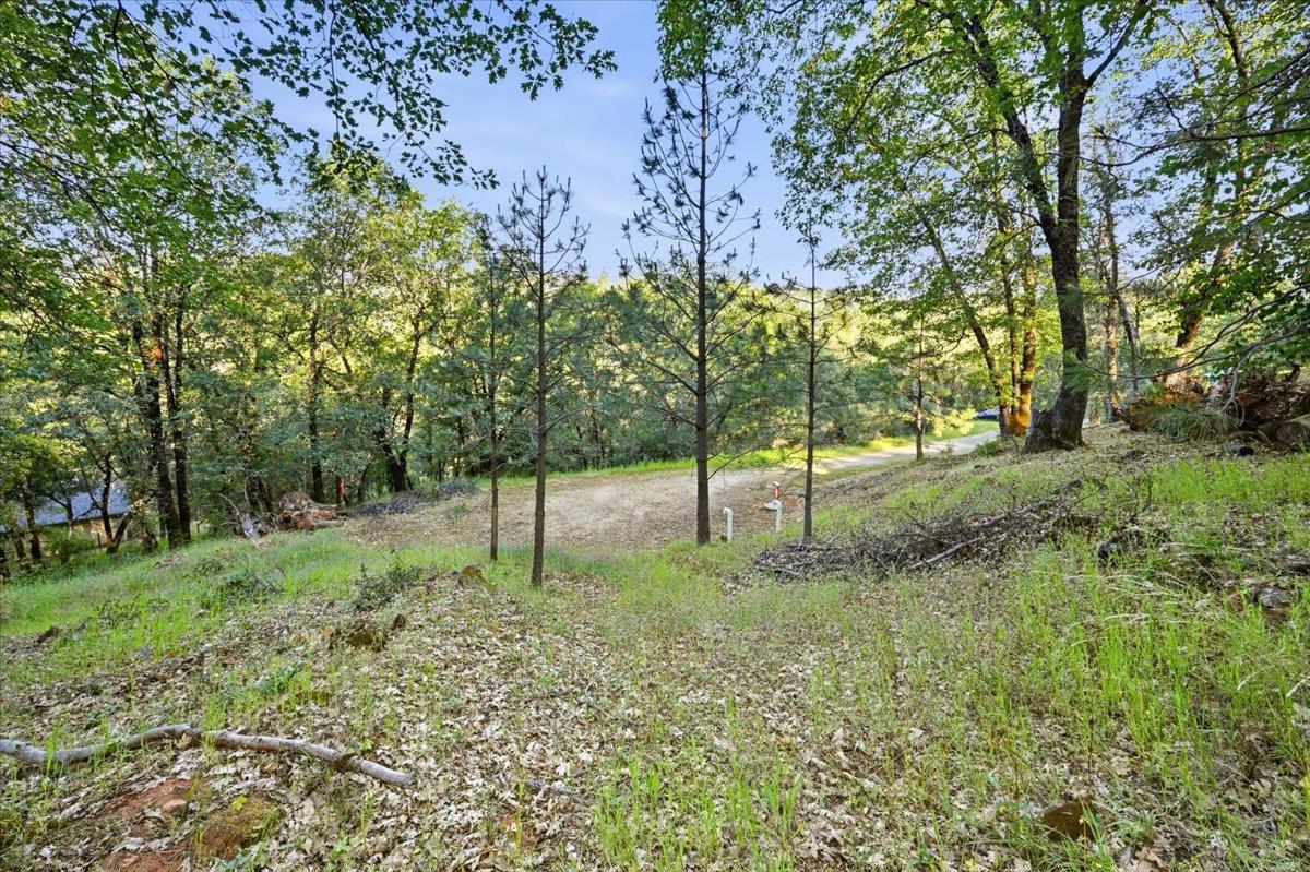 16095 Auburn Road Grass Valley, CA 95949 - Photo 13 of 20