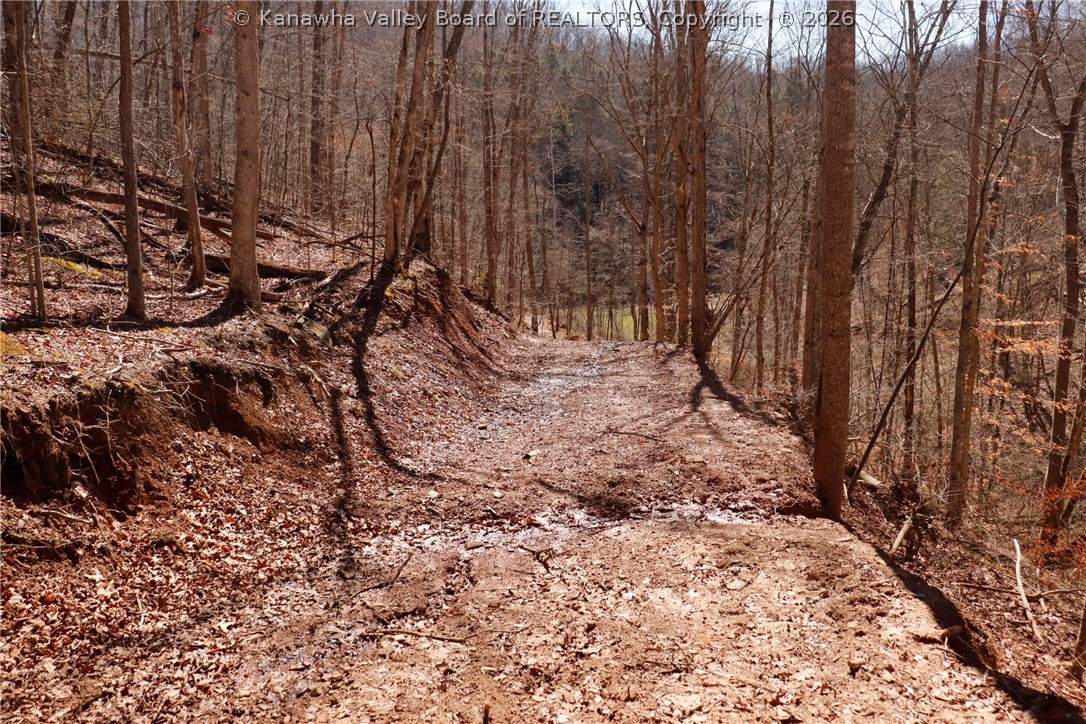0 Straight Creek Road Walton, WV 25286 - Photo 18 of 47 Gallery Image 18
