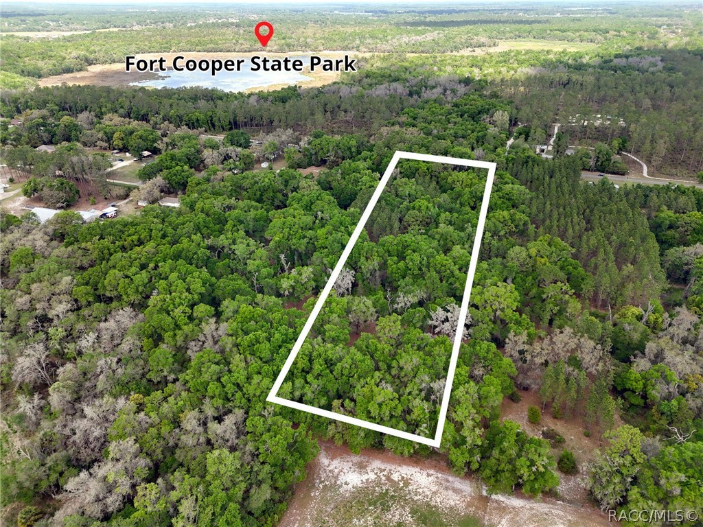8248 East Fort Cooper Road Inverness, FL 34450 - Photo 5 of 9