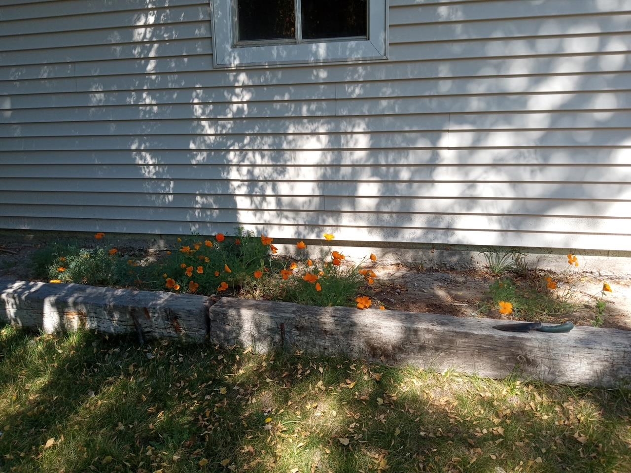 1224 Delta Street Rawlins, WY 82301 - Photo 27 of 29