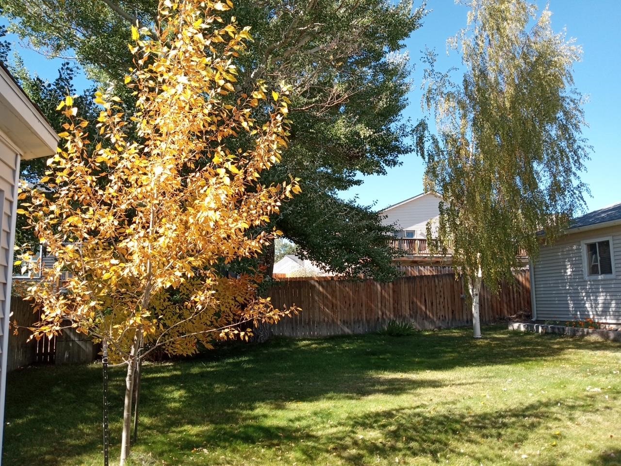 1224 Delta Street Rawlins, WY 82301 - Photo 29 of 29