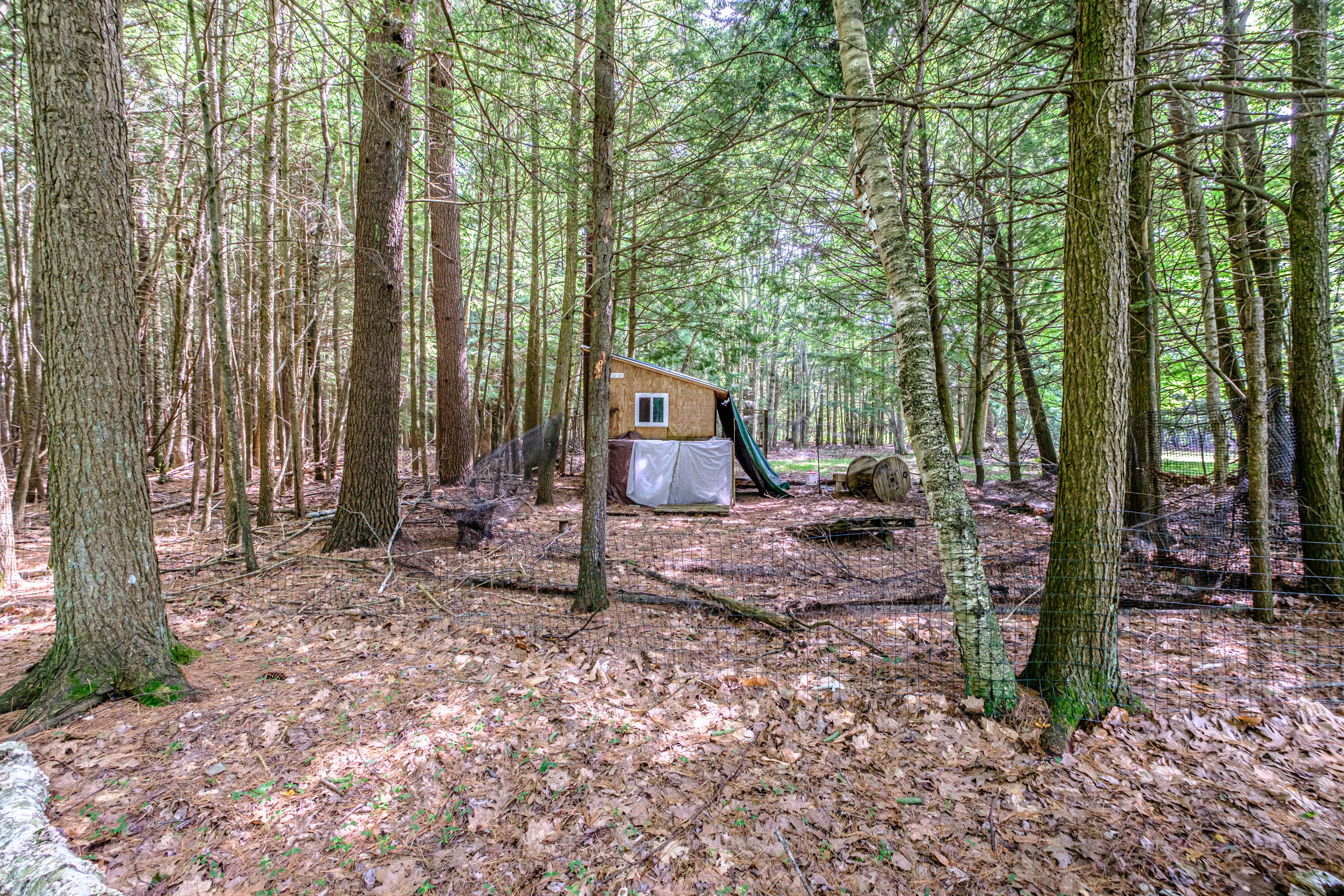 262 Holmes Road Scarborough, ME 04074 - Photo 50 of 61 20260701gp-62075