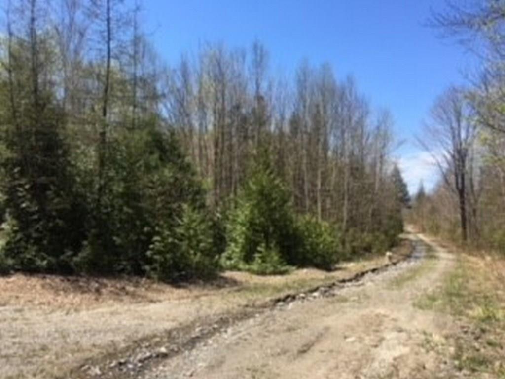 4 Map Point Arena, CA 95468 - Photo 15 of 25 Photo