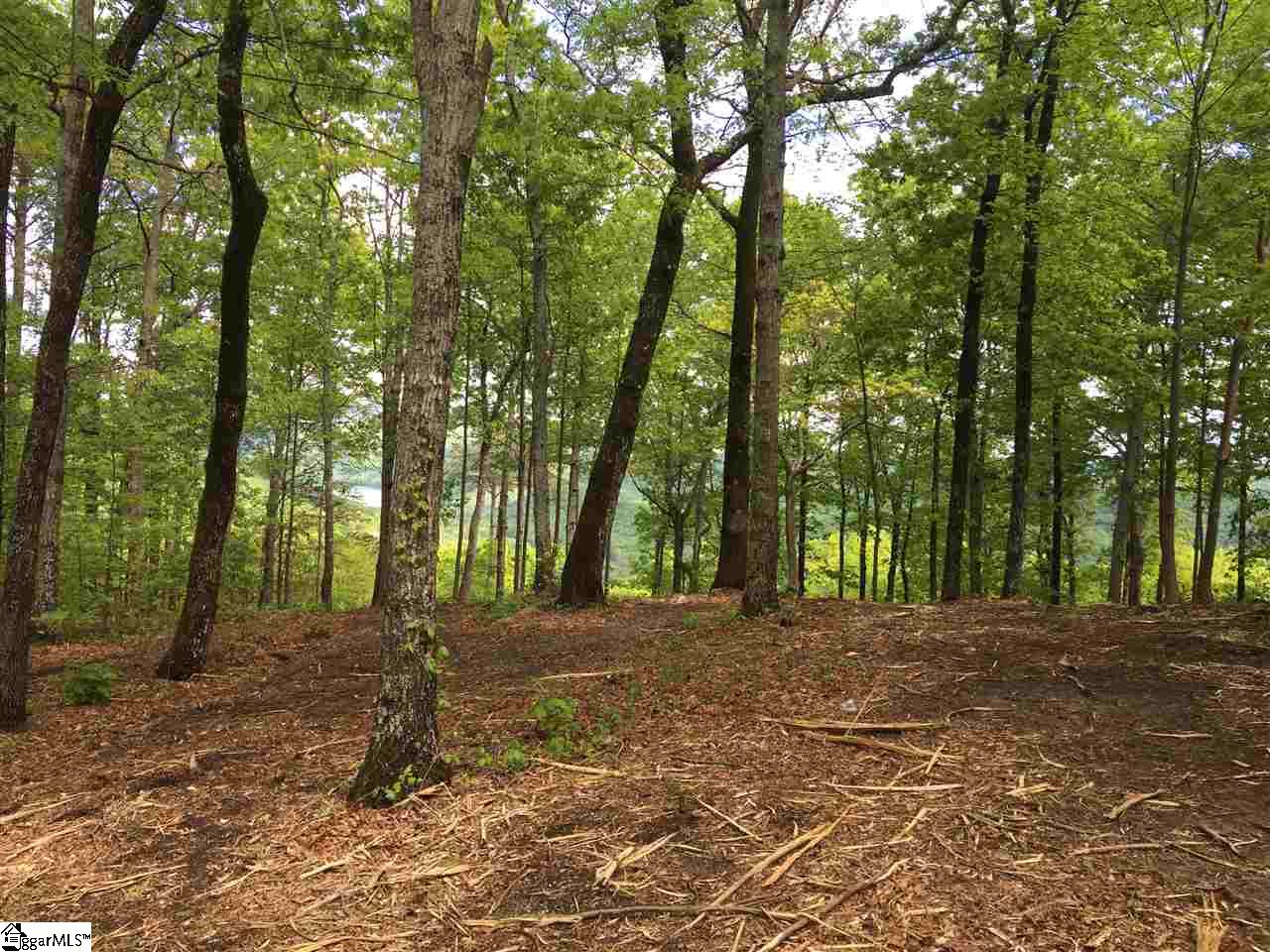 115 Upper Ridge Way Travelers Rest, SC 29690 - Photo 3 of 4