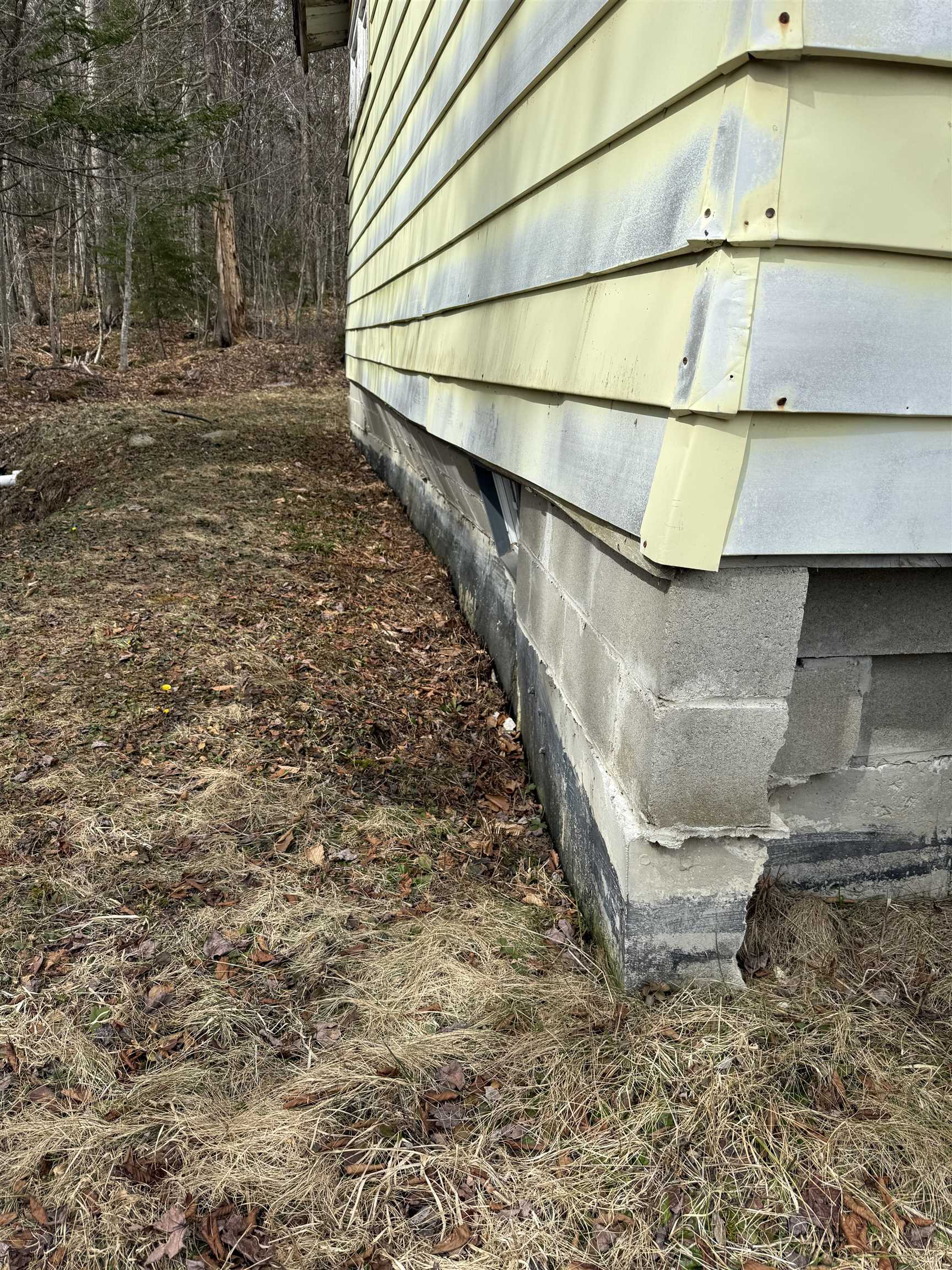 347 Hickory Road Woodford, VT 05201 - Photo 9 of 14