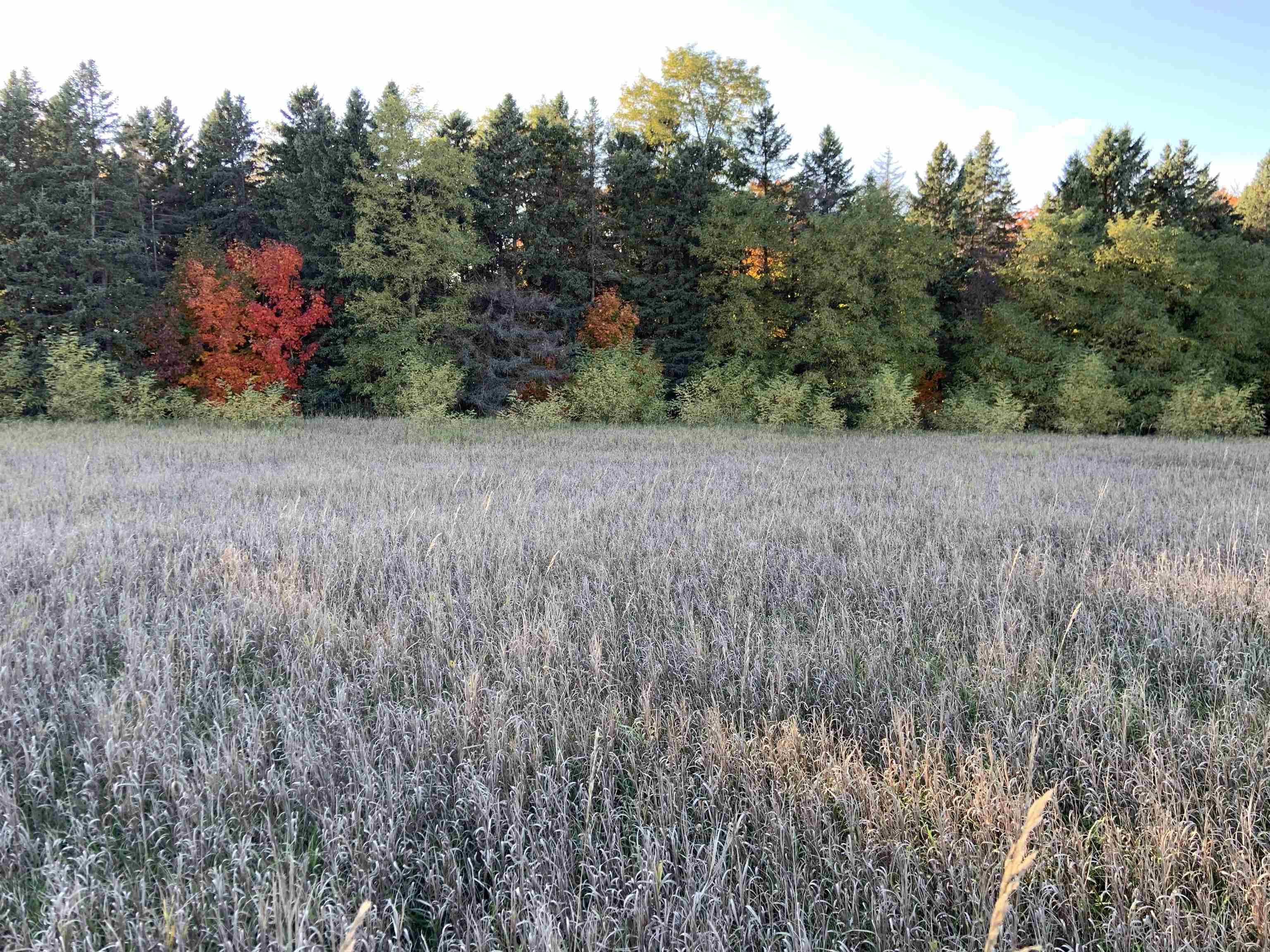 0 North East Silver Lake Road Traverse City, MI 49685 - Photo 7 of 27
