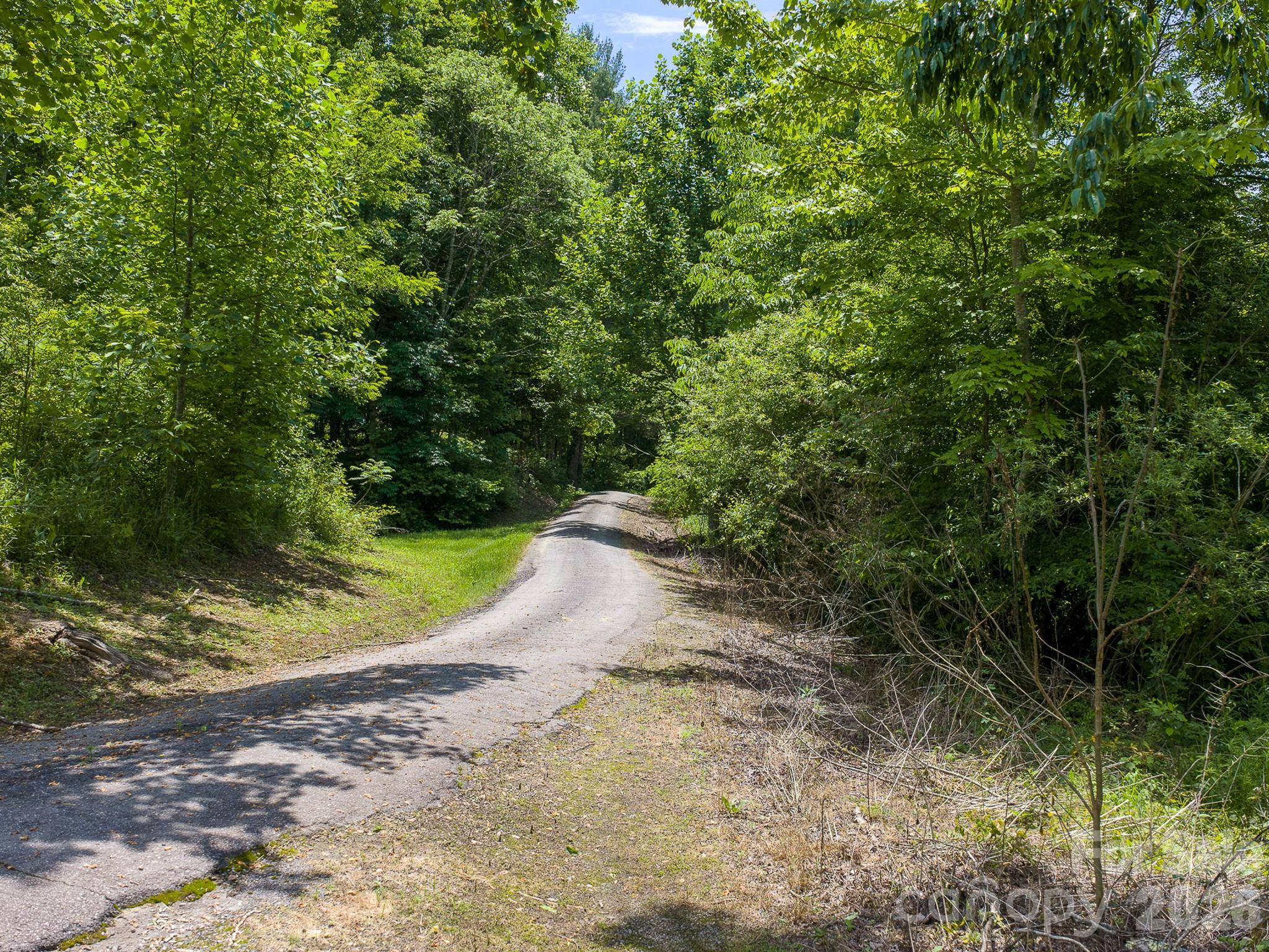 0 Sallys Branch Road Clyde, NC 28721 - Photo 9 of 22