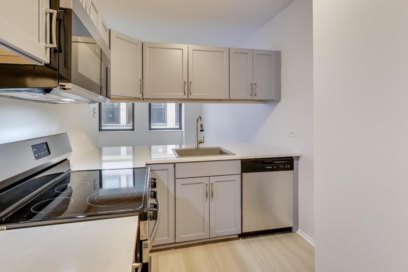 780 South Federal Street, Unit 903 Chicago, IL 60605 - Photo 18 of 31 a kitchen with stainless steel appliances a sink stove and cabinets