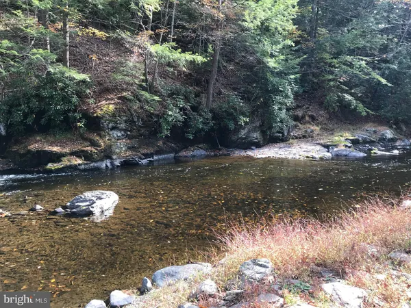 a view of a lake from a yard