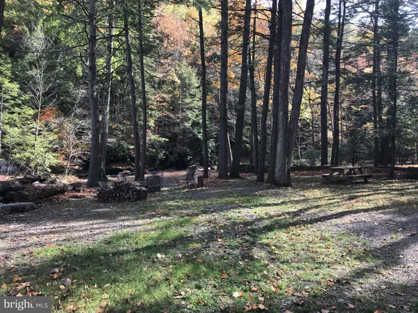 a view of a park with large trees
