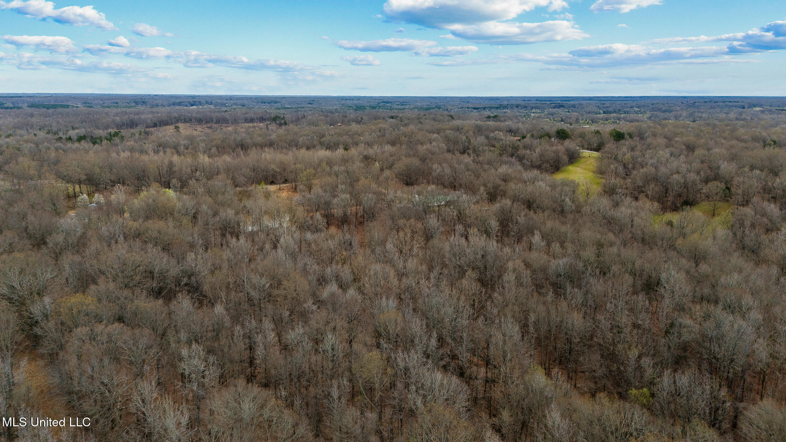 247 Sandy Branch Road Sarah, MS 38665 - Photo 11 of 19 Buy land