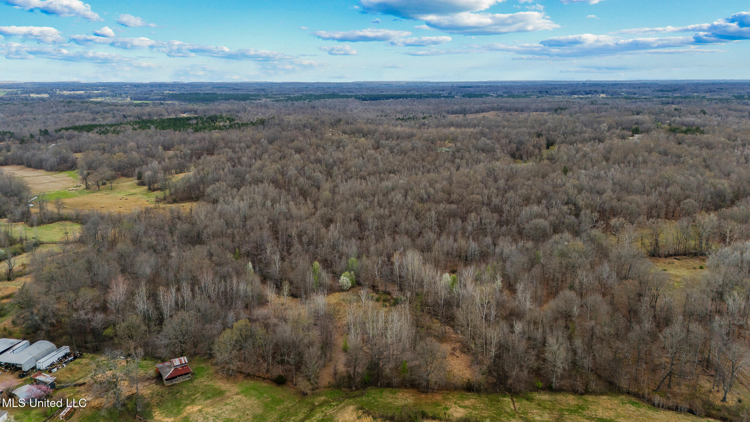 247 Sandy Branch Road Sarah, MS 38665 - Photo 12 of 19 60+/- Acres