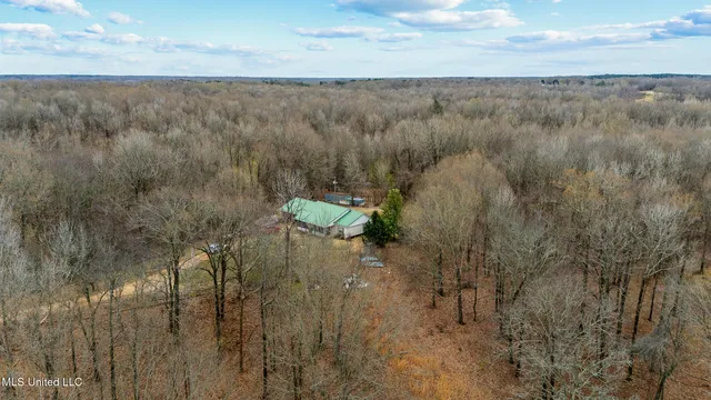 $510,000 | 247 Sandy Branch Road, Sarah, MS 38665