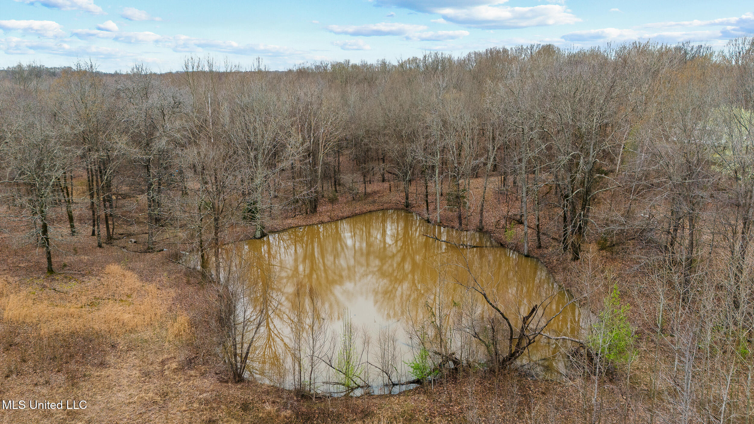 247 Sandy Branch Road Sarah, MS 38665 - Photo 14 of 19 Only pond on property