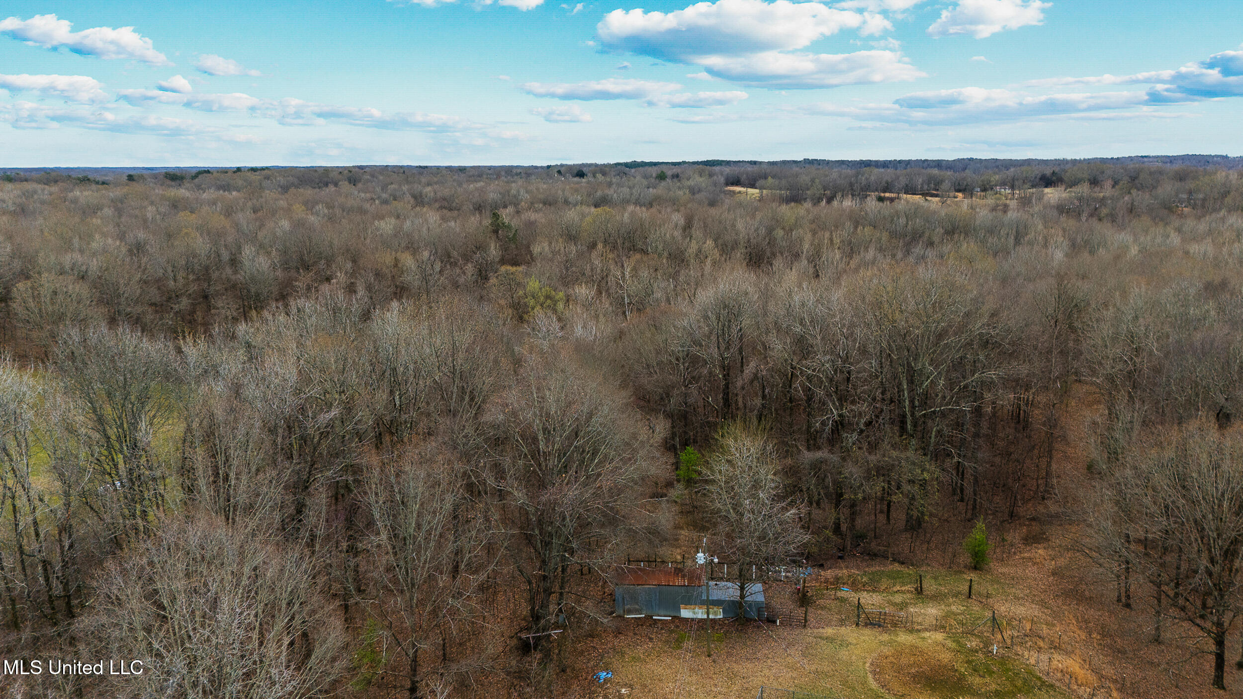 247 Sandy Branch Road Sarah, MS 38665 - Photo 15 of 19 Aged timber