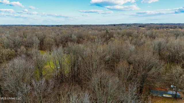 $510,000 | 247 Sandy Branch Road, Sarah, MS 38665