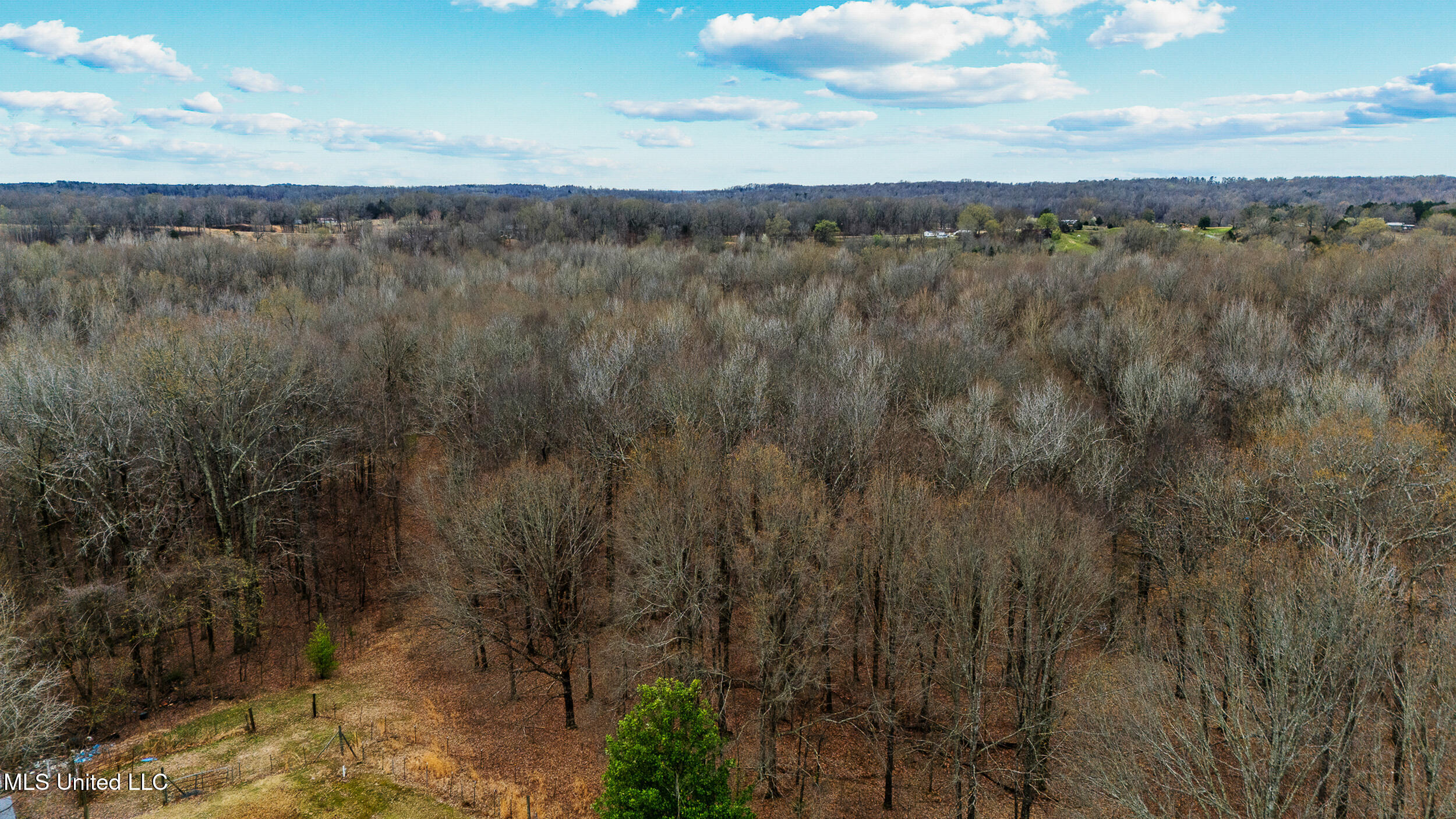 247 Sandy Branch Road Sarah, MS 38665 - Photo 17 of 19 Aged timber