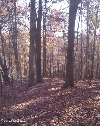 $510,000 | 247 Sandy Branch Road, Sarah, MS 38665