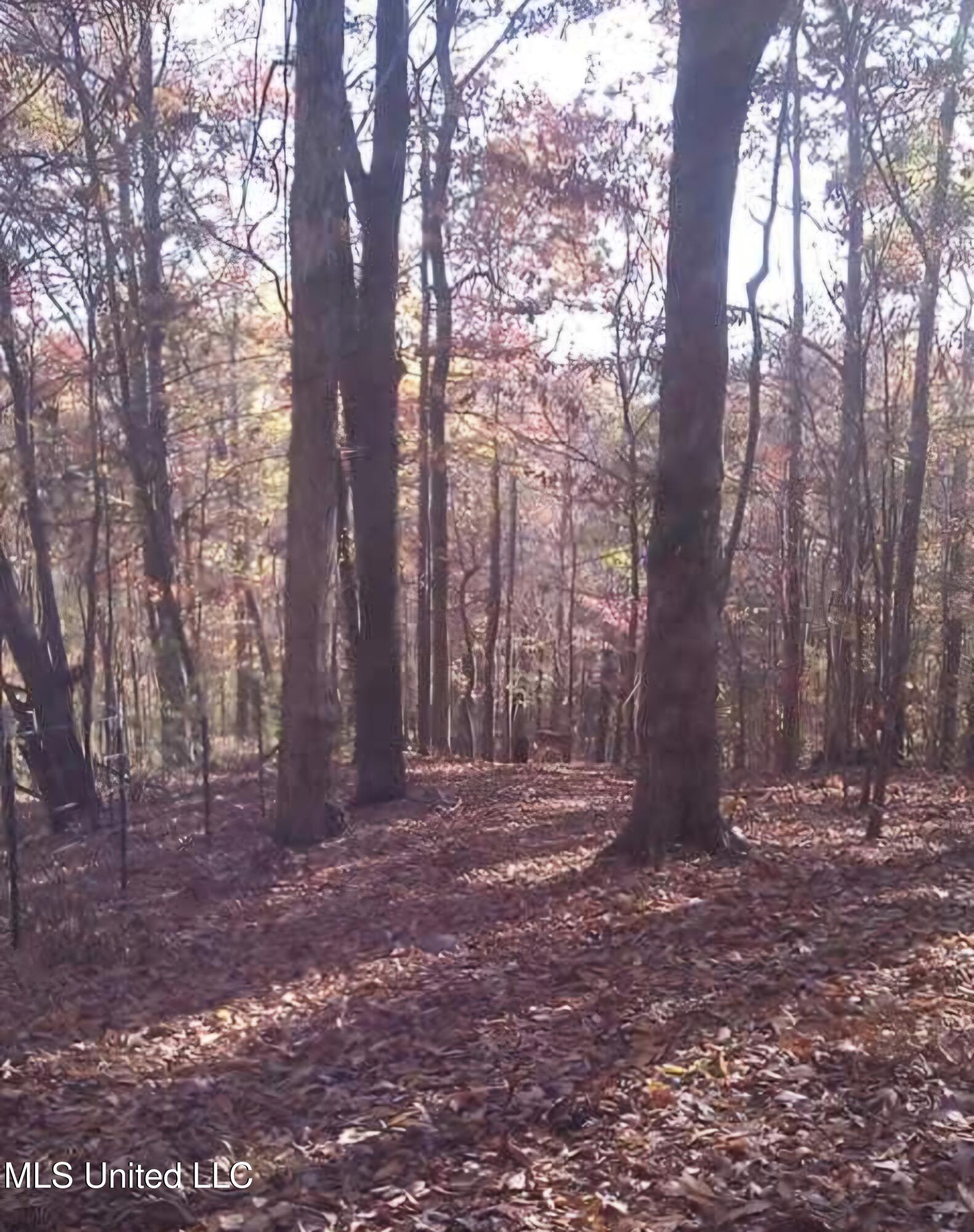 247 Sandy Branch Road Sarah, MS 38665 - Photo 19 of 19 Screenshot_20260102_174712_Facebook