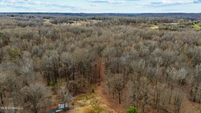 $510,000 | 247 Sandy Branch Road, Sarah, MS 38665