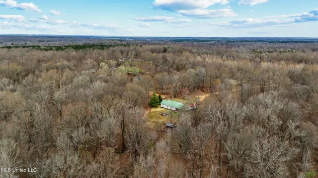 $510,000 | 247 Sandy Branch Road, Sarah, MS 38665