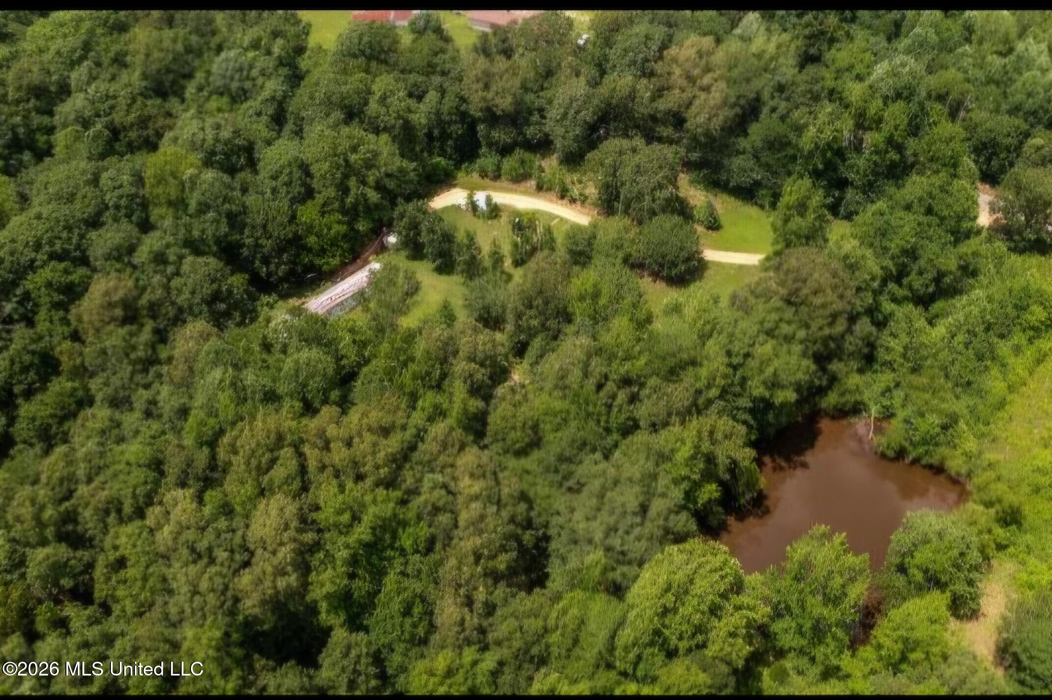 247 Sandy Branch Road Sarah, MS 38665 - Photo 6 of 11 1000023525