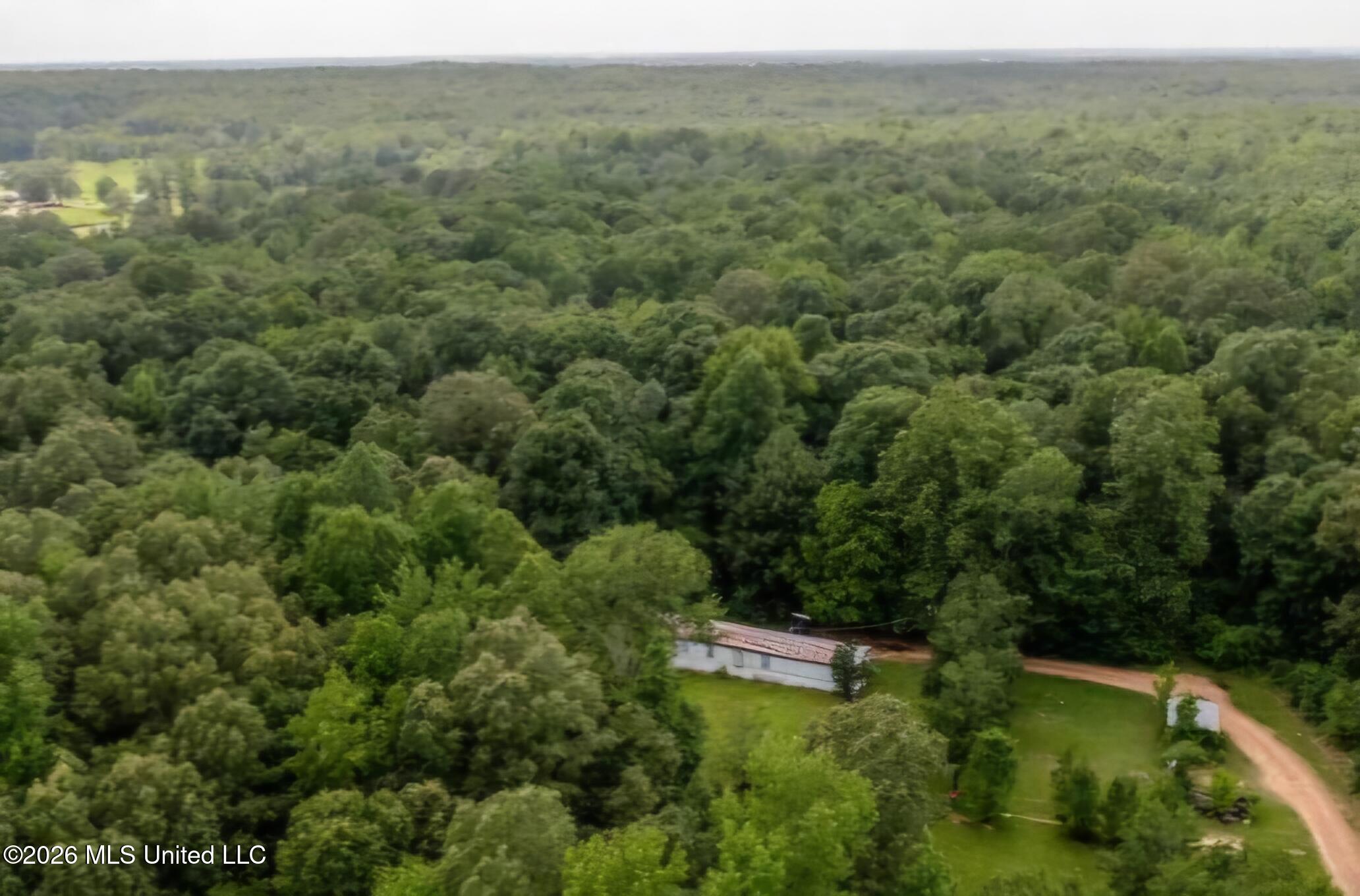 247 Sandy Branch Road Sarah, MS 38665 - Photo 8 of 11 1000023531