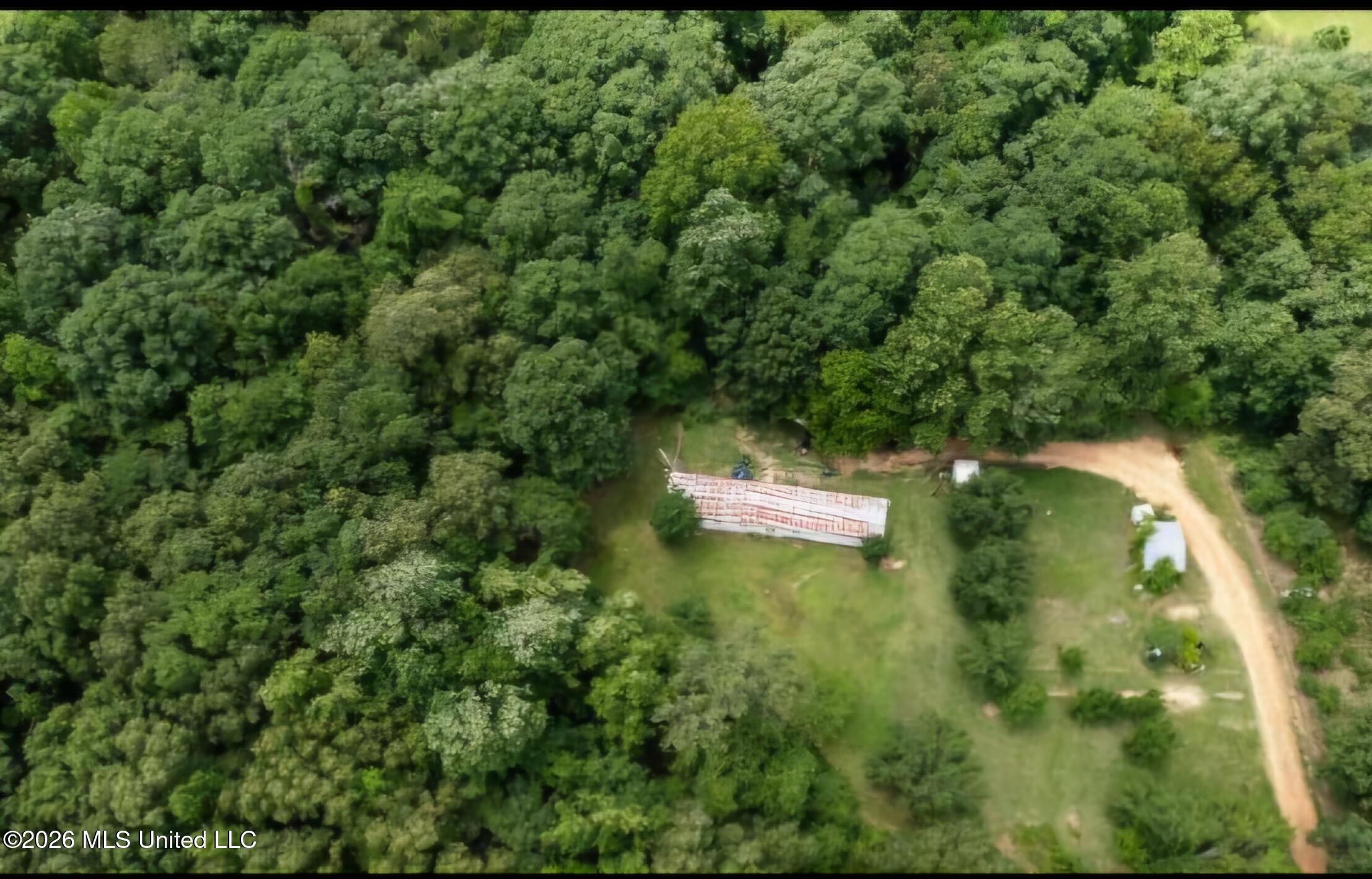 247 Sandy Branch Road Sarah, MS 38665 - Photo 9 of 11 1000023522