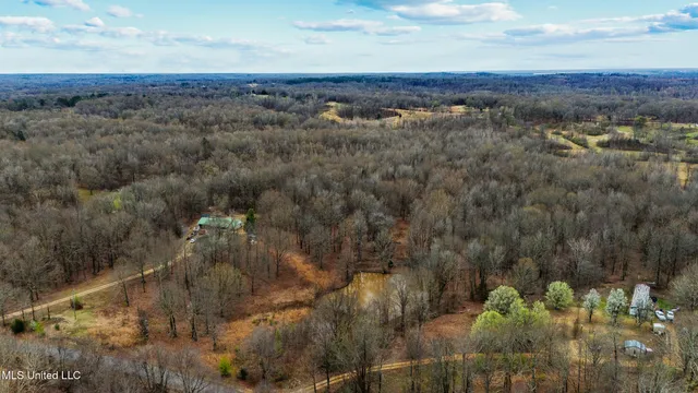 $510,000 | 247 Sandy Branch Road, Sarah, MS 38665