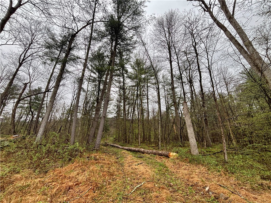 2093 Scott Road Erwin, NY 14858 - Photo 21 of 36 Gallery Image 21