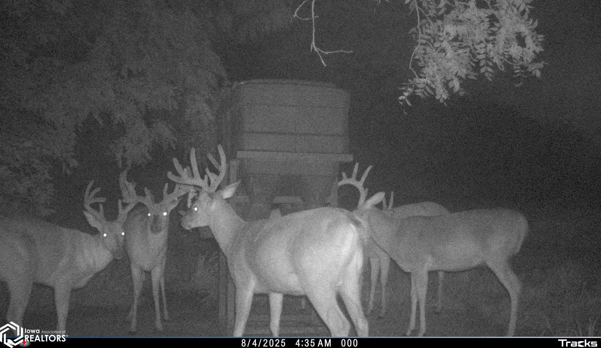 26845 County Road R52 Leon, IA 50144 - Photo 10 of 92 Gallery Image 10