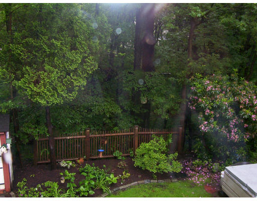 33 Pine Ridge Road Wellesley, MA 02481 - Photo 26 of 27 a view of a garden