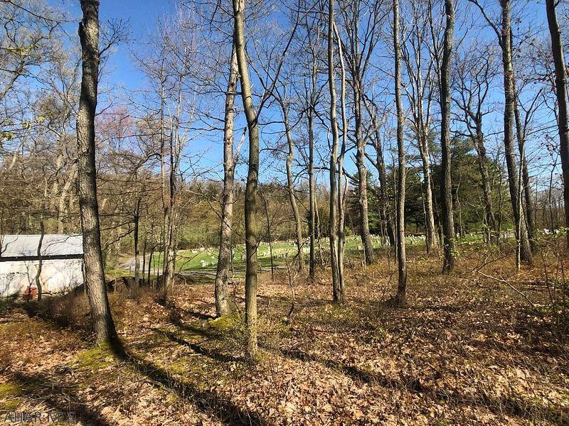 Lot 7 Baughman Cemetery Road Tyrone, PA 16686 - Photo 10 of 23 Gallery Image 10