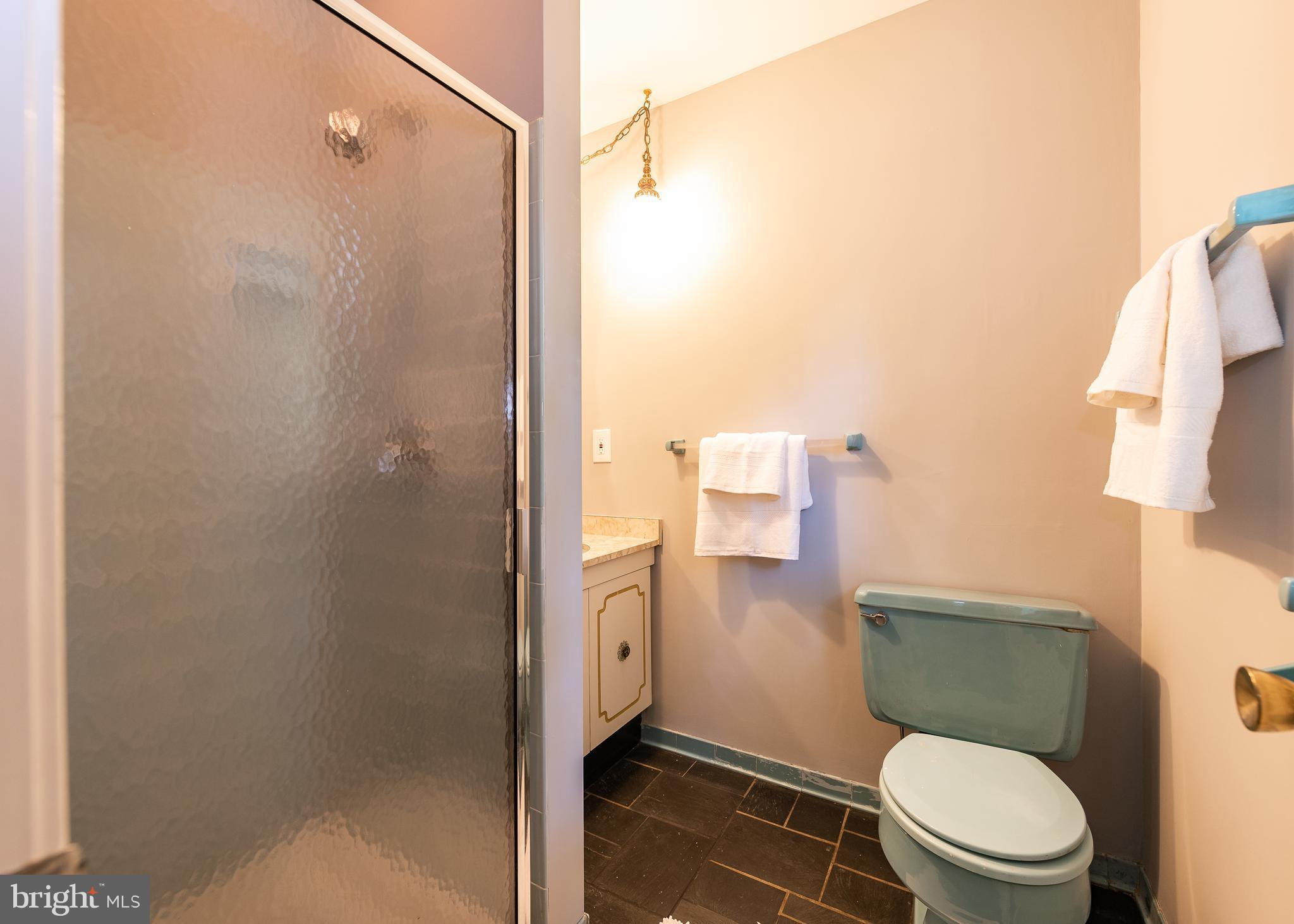 1638 Comanche Road Arnold, MD 21012 - Photo 21 of 39 Master Bath