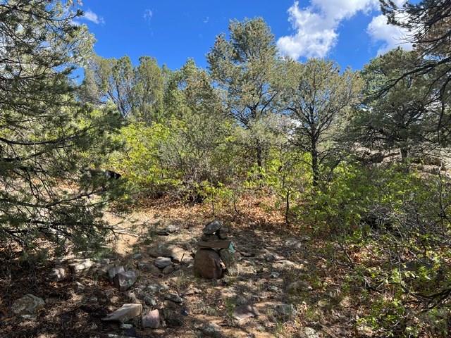 96 River Ridge Trail Walsenburg, CO 81089 - Photo 24 of 28